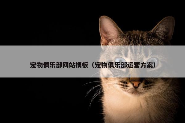 宠物俱乐部网站模板（宠物俱乐部运营方案）