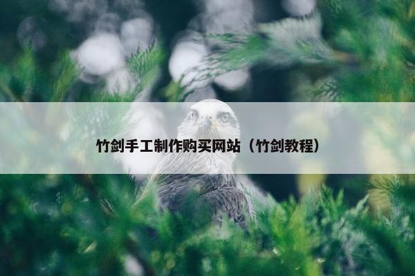 竹剑手工制作购买网站（竹剑教程）
