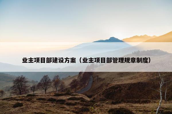 业主项目部建设方案（业主项目部管理规章制度）