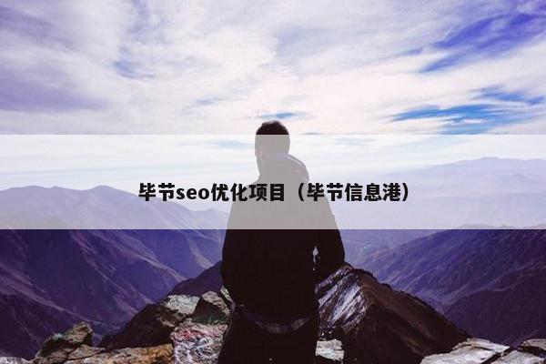 毕节seo优化项目（毕节信息港）