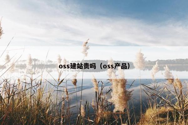 oss建站贵吗（oss产品）