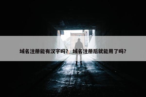 域名注册能有汉字吗？ 域名注册后就能用了吗？