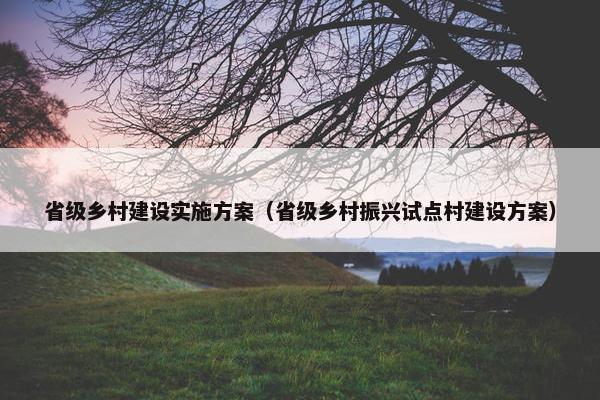 省级乡村建设实施方案（省级乡村振兴试点村建设方案）