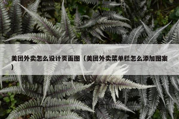 美团外卖怎么设计页面图（美团外卖菜单栏怎么添加图案）