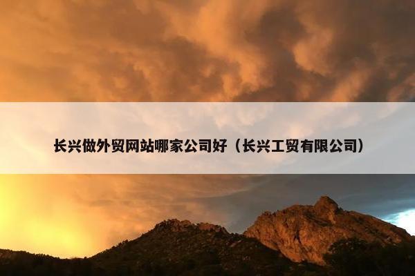 长兴做外贸网站哪家公司好（长兴工贸有限公司）