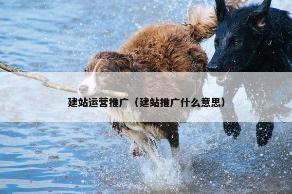 建站运营推广（建站推广什么意思）