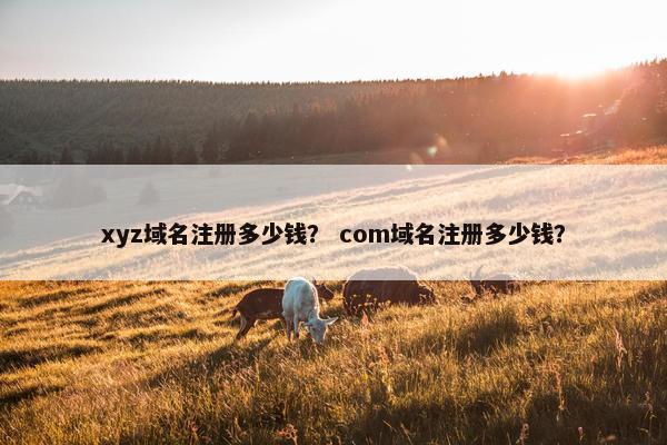 xyz域名注册多少钱？ com域名注册多少钱？
