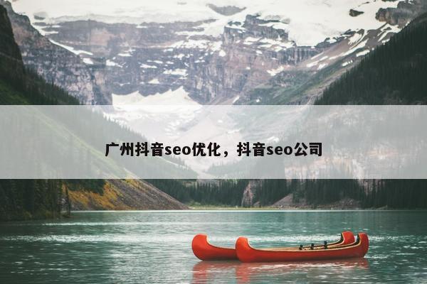 广州抖音seo优化，抖音seo公司