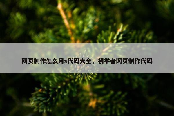 网页制作怎么用s代码大全，初学者网页制作代码