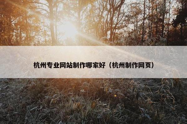 杭州专业网站制作哪家好（杭州制作网页）