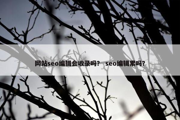 网站seo编辑会收录吗？ seo编辑累吗？