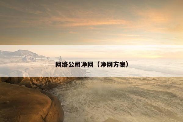 网络公司净网（净网方案）
