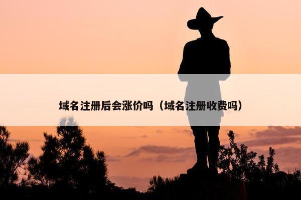 域名注册后会涨价吗（域名注册收费吗）
