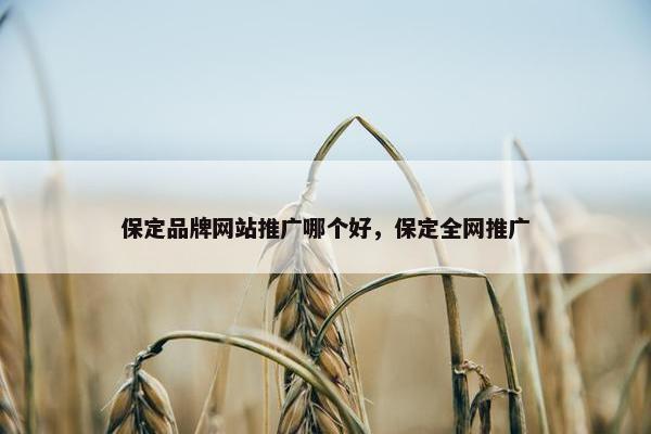 保定品牌网站推广哪个好，保定全网推广