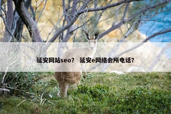 延安网站seo？ 延安e网络会所电话？