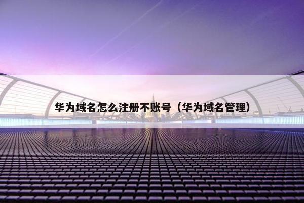 华为域名怎么注册不账号（华为域名管理）