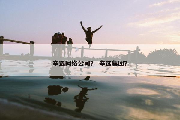 辛选网络公司？ 辛选集团？