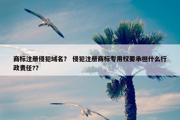 商标注册侵犯域名？ 侵犯注册商标专用权要承担什么行政责任?？