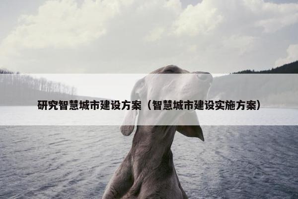 研究智慧城市建设方案（智慧城市建设实施方案）