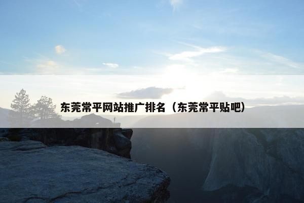 东莞常平网站推广排名（东莞常平贴吧）