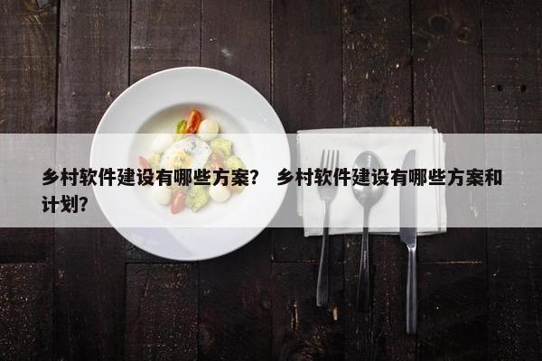 乡村软件建设有哪些方案？ 乡村软件建设有哪些方案和计划？
