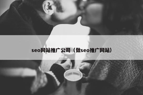 seo网站推广公司（做seo推广网站）