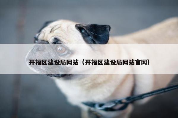 开福区建设局网站（开福区建设局网站官网）