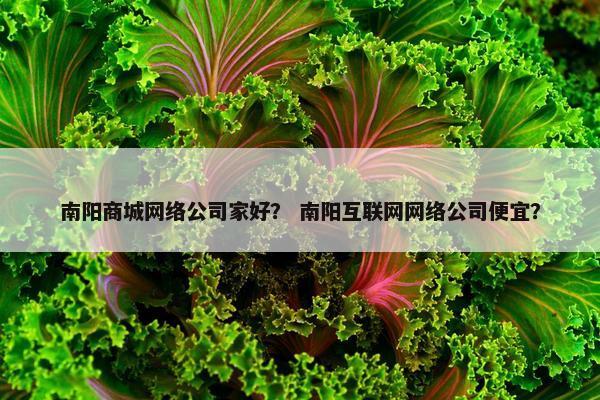 南阳商城网络公司家好？ 南阳互联网网络公司便宜？