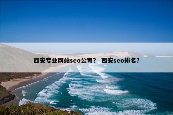 西安专业网站seo公司？ 西安seo排名？
