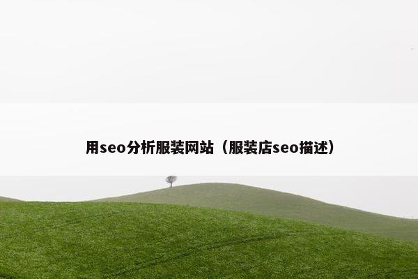 用seo分析服装网站（服装店seo描述）