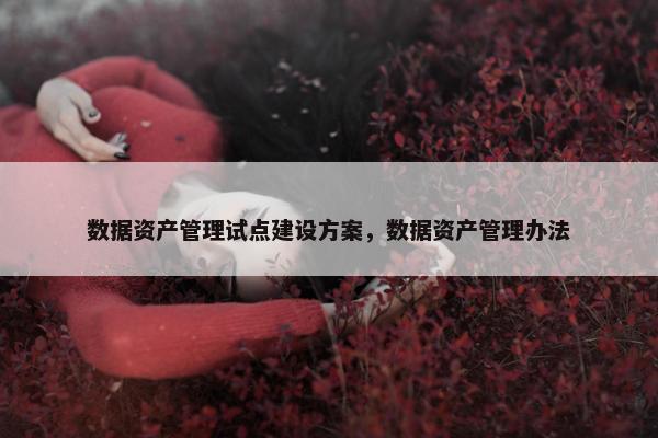 数据资产管理试点建设方案，数据资产管理办法