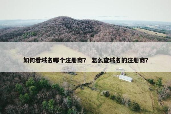 如何看域名哪个注册商？ 怎么查域名的注册商？