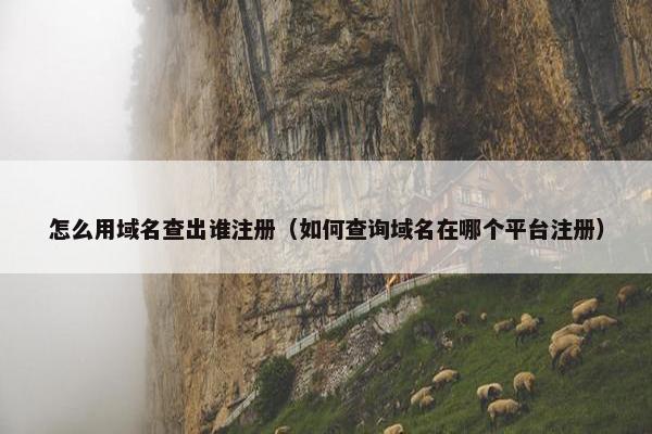 怎么用域名查出谁注册（如何查询域名在哪个平台注册）