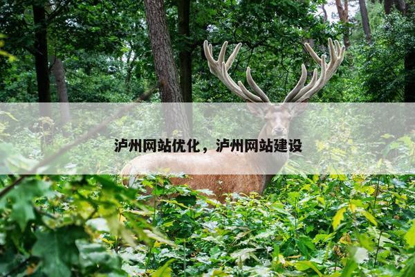 泸州网站优化，泸州网站建设