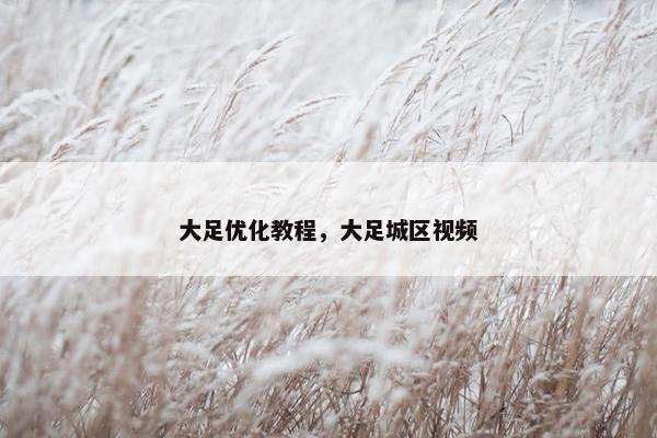 大足优化教程，大足城区视频