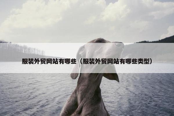 服装外贸网站有哪些（服装外贸网站有哪些类型）