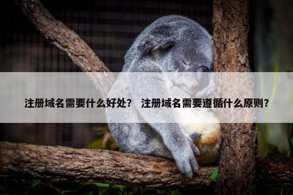 注册域名需要什么好处？ 注册域名需要遵循什么原则？