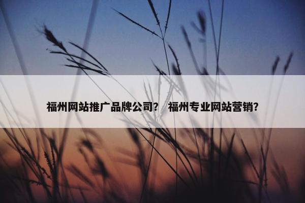 福州网站推广品牌公司？ 福州专业网站营销？