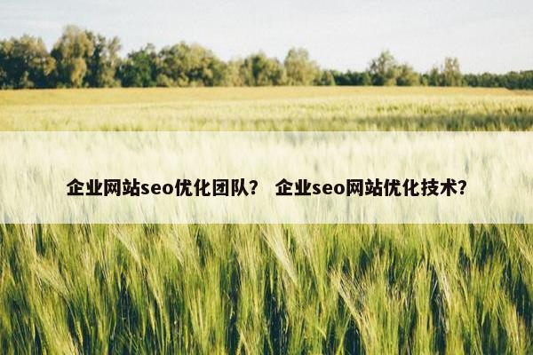 企业网站seo优化团队？ 企业seo网站优化技术？