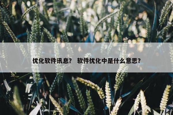 优化软件讯息？ 软件优化中是什么意思？