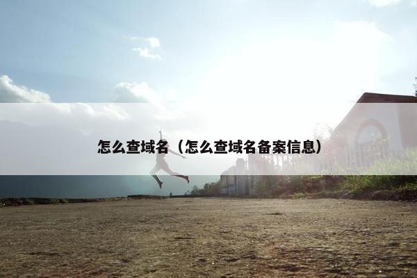 怎么查域名（怎么查域名备案信息）