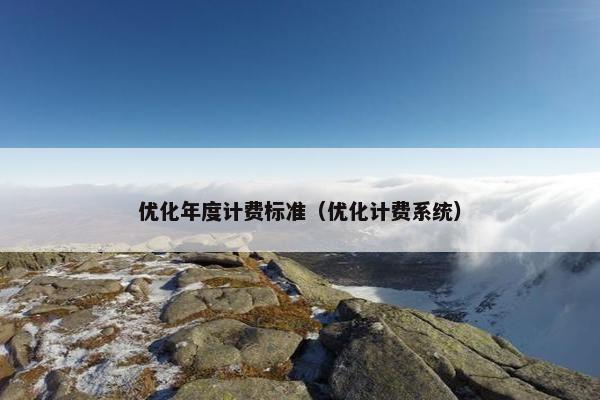 优化年度计费标准（优化计费系统）