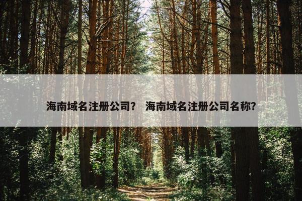 海南域名注册公司？ 海南域名注册公司名称？