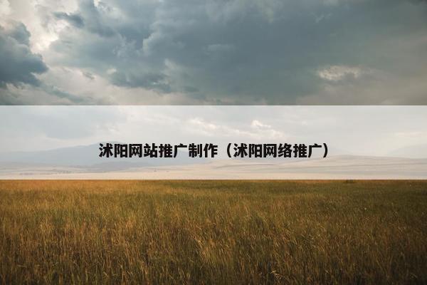 沭阳网站推广制作（沭阳网络推广）