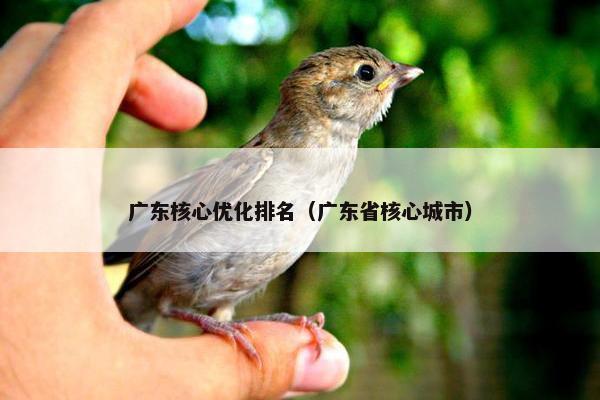 广东核心优化排名（广东省核心城市）