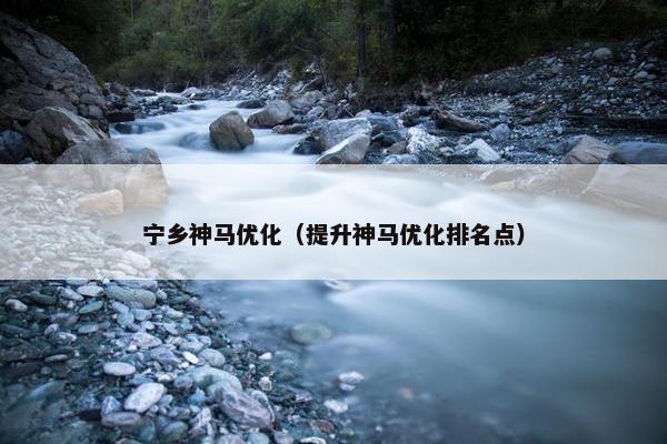 宁乡神马优化（提升神马优化排名点）