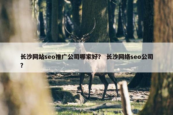 长沙网站seo推广公司哪家好？ 长沙网络seo公司？