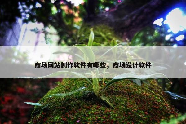 商场网站制作软件有哪些，商场设计软件