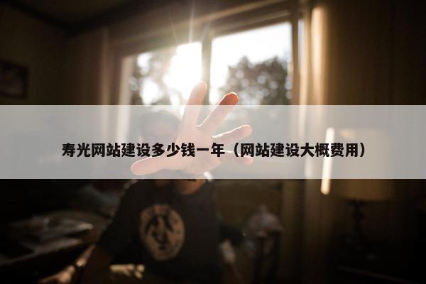 寿光网站建设多少钱一年（网站建设大概费用）