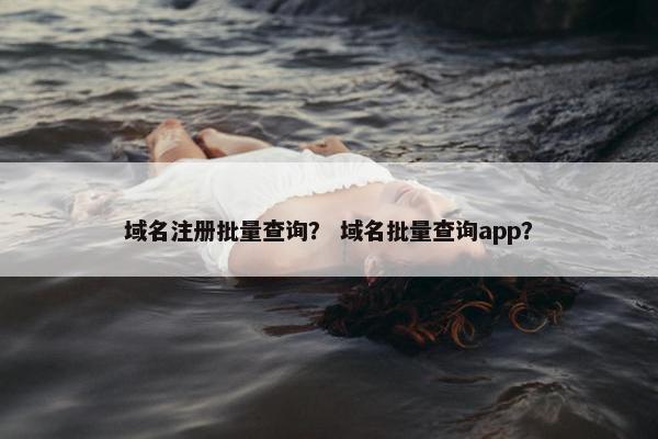 域名注册批量查询？ 域名批量查询app？